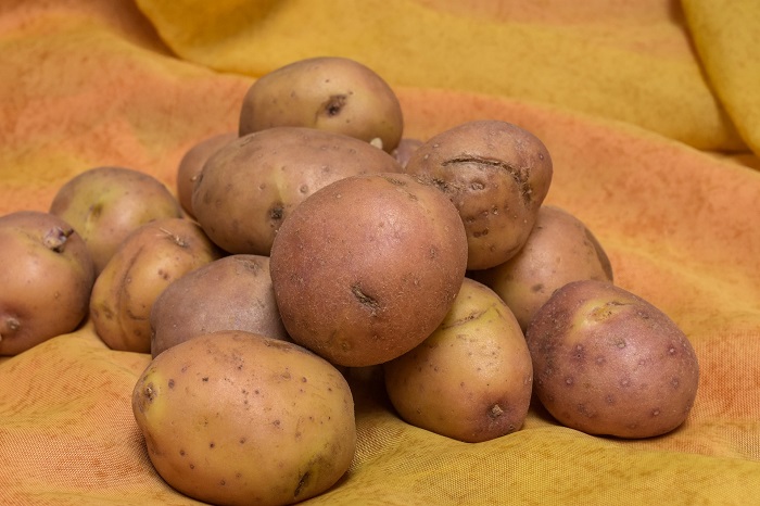 Ako sadiť zemiaky sa traduje z generácie na generáciu